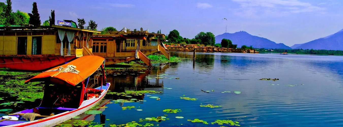 kashmir